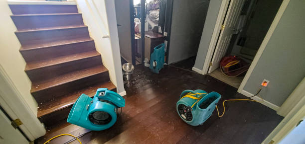 Best Basement water damage restoration  in Gretna, FL