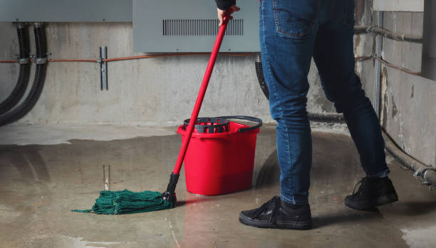 Best Fire Damage Restoration  in Gretna, FL