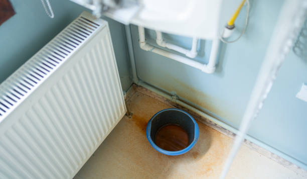 Best Carpet water damage restoration  in Gretna, FL