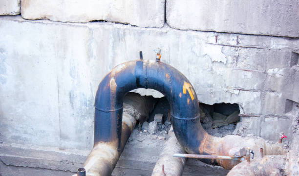 Best Water damage repair service  in Gretna, FL