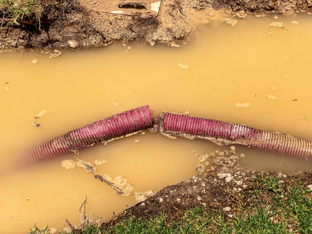 Best 24/7 water damage repair  in Gretna, FL