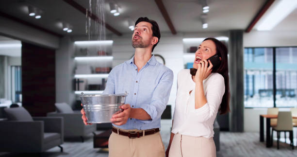 Best Water damage repair service  in Gretna, FL