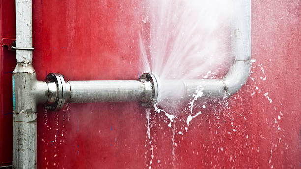 Water damage restoration insurance claims in Gretna, FL